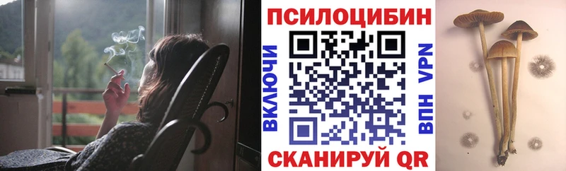 наркотики  Ковдор  Галлюциногенные грибы MAGIC MUSHROOMS 