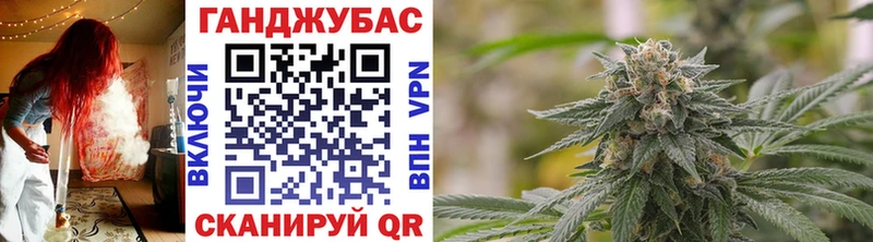 Бошки Шишки гибрид Ковдор